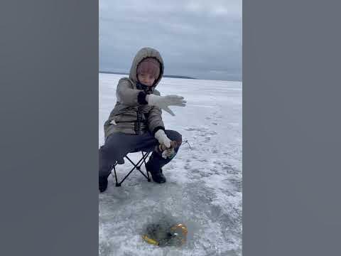 Зимова рибалка - YouTube