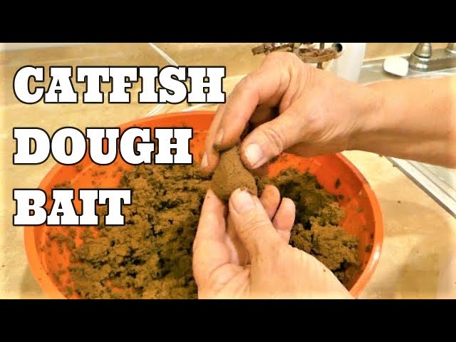 The SIMPLEST Dough Bait To CATCH FISH! ~Catfish, Carp, and More