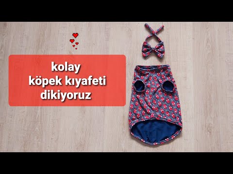 Video: Köpekler Için Kıyafet Dikmek Nasıl