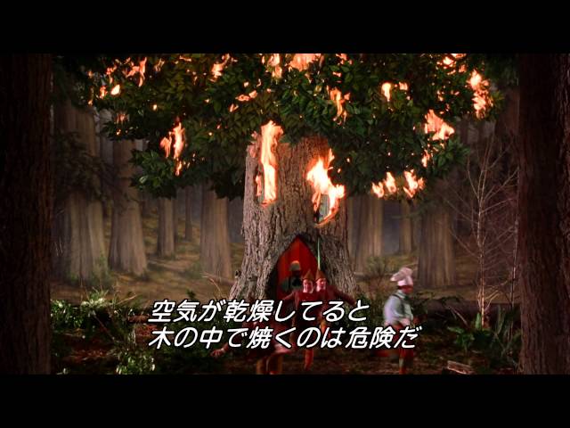 バディ