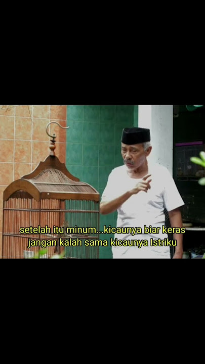 Burungku sayang...burungku hilang. #shorts #kartolo #kartolocs