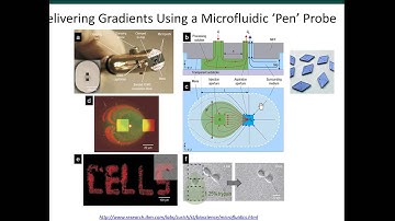 BioMEMS Module 5C - Microfluidic Laminar Flows and Mixers