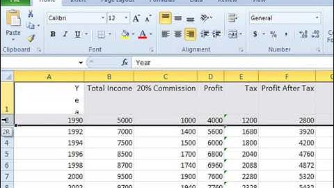 Alignment Group in Home Tab in Excel  Video Tutorials in Hindi  - WWW.LSOIT.COM