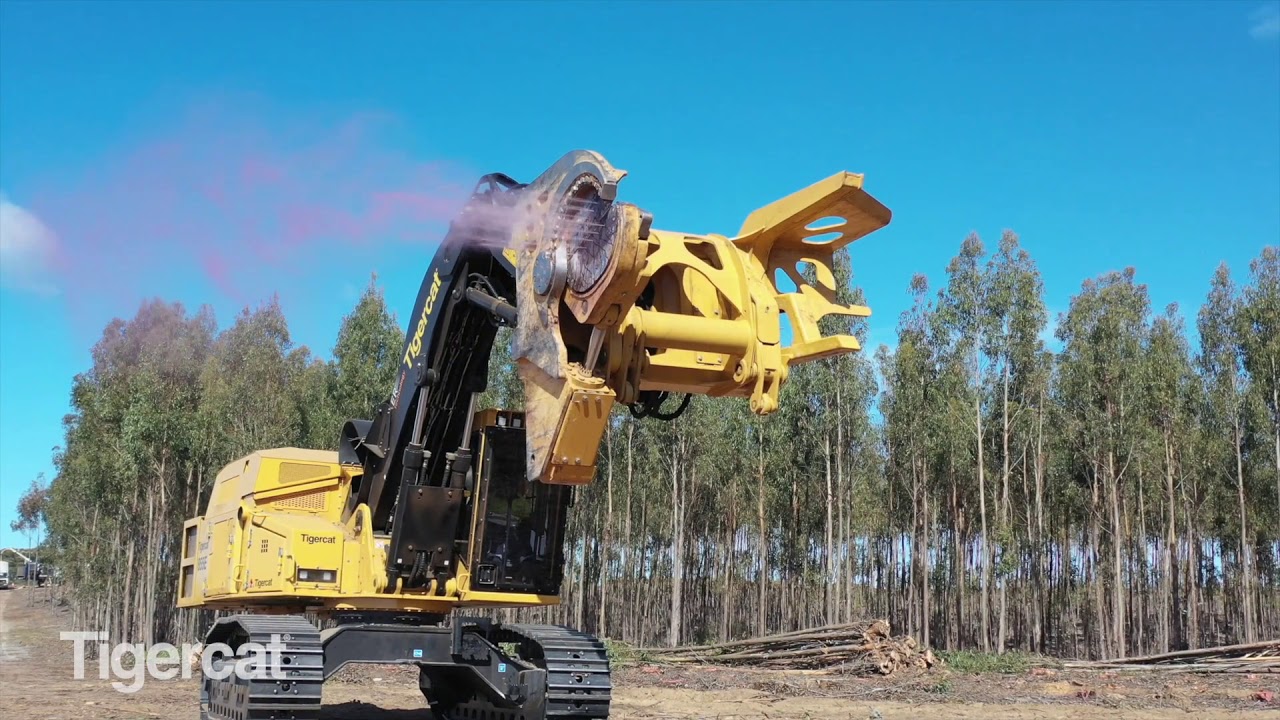 Tigercat 855E DT2003 Feller Buncher