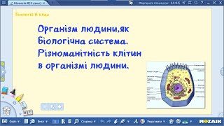 видео: Біологія 8 клас НУШ Організм людини,як біологічна система. Різноманітність клітин в організмі людини картинка: Біологія 8 клас НУШ Організм людини,як біологічна система. Різноманітність клітин в організмі людини