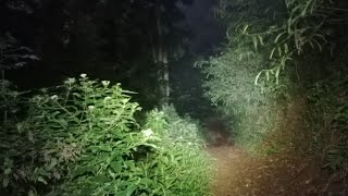 Download Lagu Live Misteri!! Lembah Gaib Sarangnya Para Demit MP3 Download Lagu Live Misteri!! Lembah Gaib Sarangnya Para Demit MP3