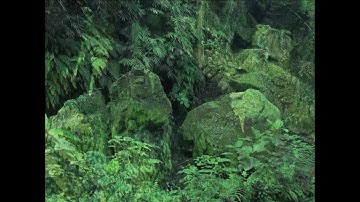 Deep Sea Explorers - Intermission [Official Video]