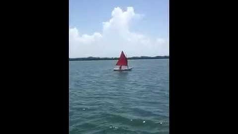 Shellback Sailing Dinghy