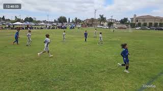 EDA vs lobos u12