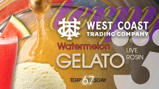 Terpy Tuesday Ep. 67: West Coast Trading Company Watermelon Gelato Live Rosin
