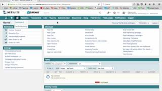 Adding And Removing Portlets Netsuite