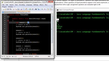 Java Unary Operators