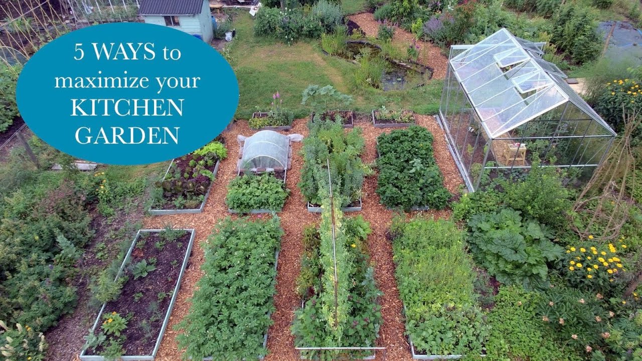 5 WAYS TO GET THE MOST FROM YOUR KITCHEN GARDEN (row covers, CCA, polycultures, vertical gardening)