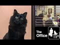 The Office - with a cat (OwlKitty)