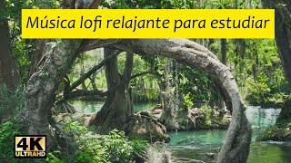 lofi music to concentrate and study | 4k relaxing waterfalls |LOFI screenshot 5