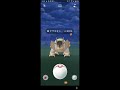 1125.2023 今日はコミュニティディ。自分は仕事でできない。かも。運営はポケモン入手について格差があるのはわかっているのか非常に疑問!レイドバトルはテラキオン(5たま)