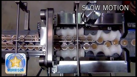Timing Screws - 2:1 Combiner Dual Infeed Timing Screw Drive Unit