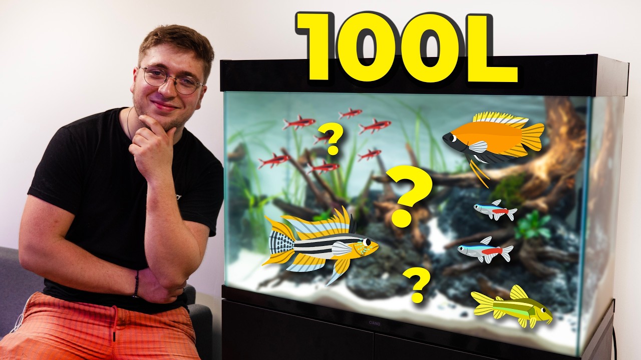 Quels poissons pour un Aquarium de 100 Litres ? On fait l'aquarium ensemble