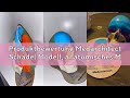 Produktbewertung Medarchitect Schädel Modell, anatomisches Modell mit menschlichem Kopf in Lebensgrö