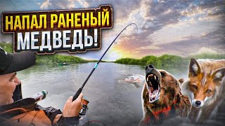 ЭТУ РЫБАЛКУ ЦЕНЯТ МЕСТНЫЕ! Мощная чавыча - королевский лосось. Нападение РАНЕНОГО МЕДВЕДЯ. Выжить!