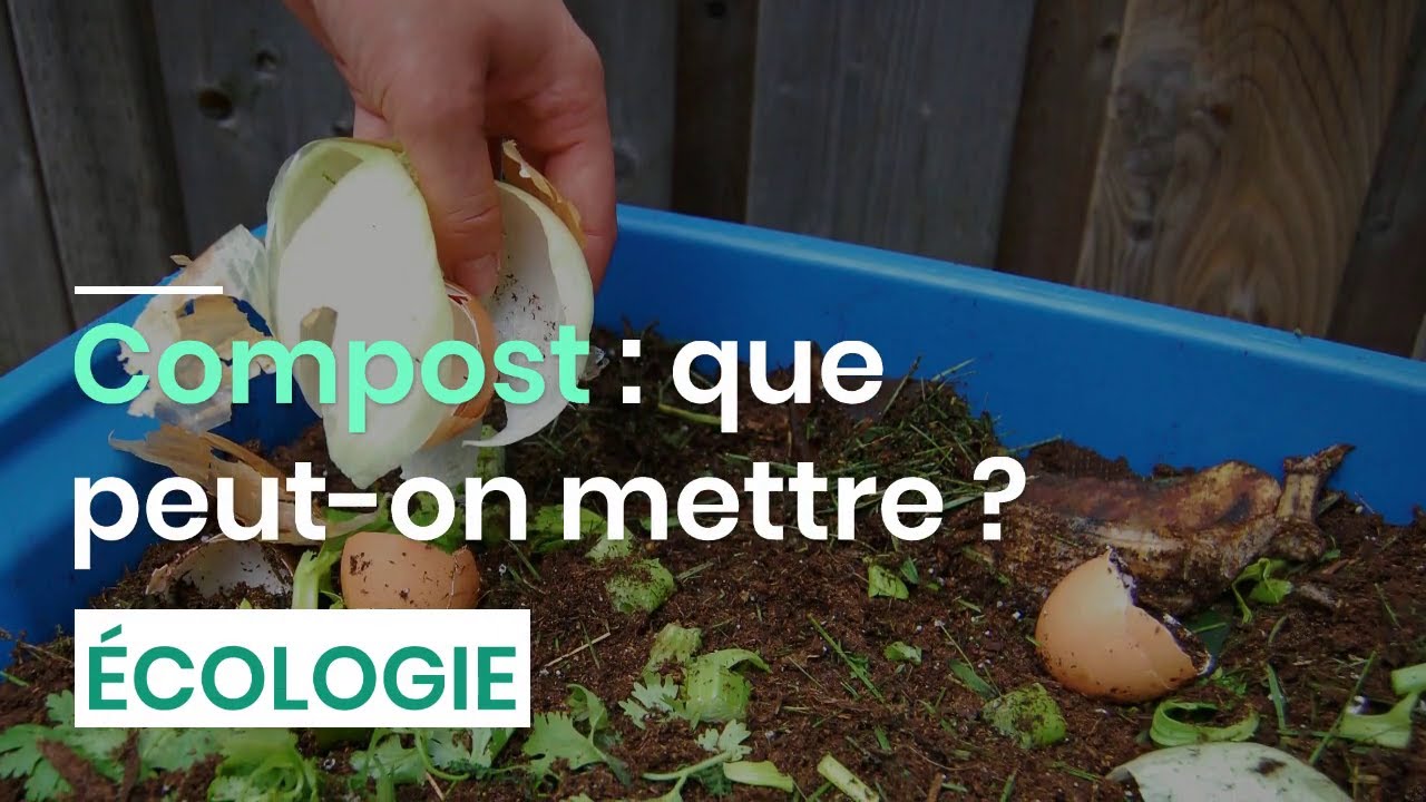 Compost que peuton mettre ? YouTube