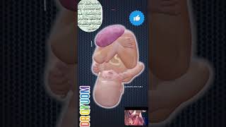 39 Weeks Pregnancy – Baby Development 🤰👶 | Full-Term Fetal Growth Explained#everyone#DrQyuom#video