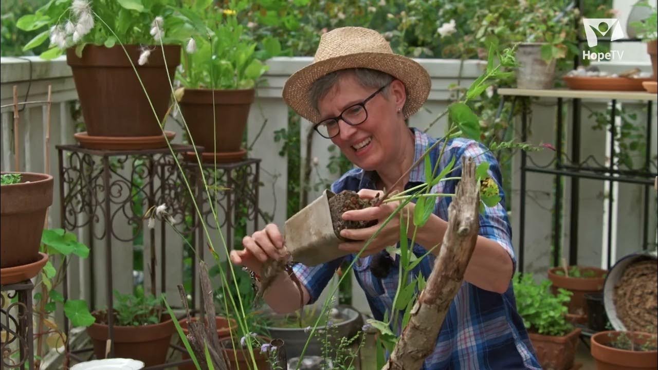 Mein Insektenbalkon ein Sumpfbeet anlegen „Gabis Garten“ mit Gabi