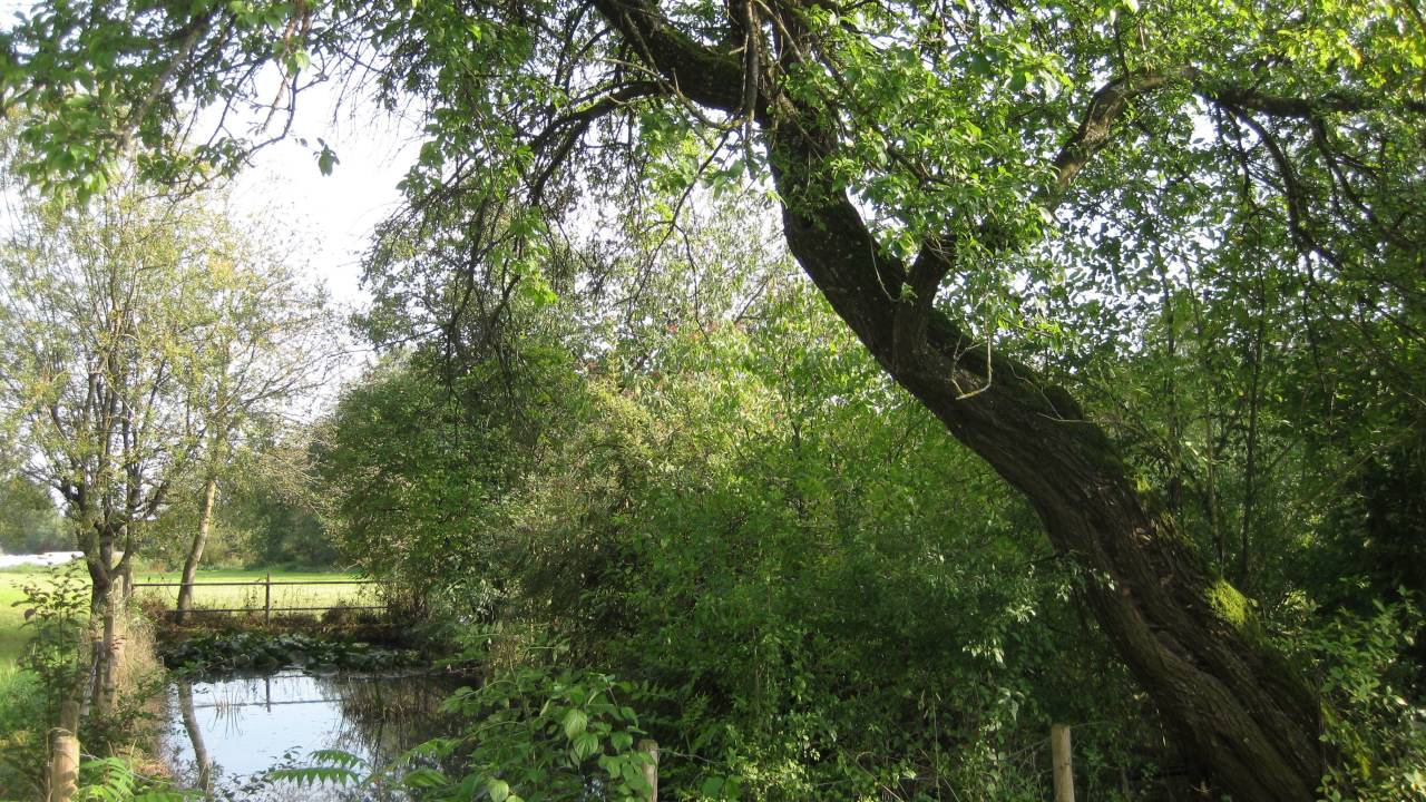 Kathi Stimmer Salzeder Zusammenwachsen Youtube