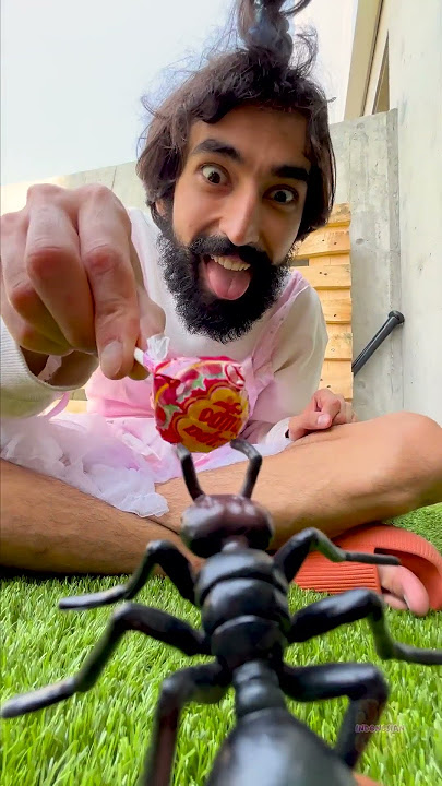 Semut dan Impian Permen: Petualangan Lollipop yang Menggemaskan! 🍭🐜😂