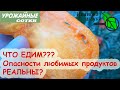 ЧТО МЫ ЕДИМ? Томаты, тыква и кукуруза - опасны? Томаты проросли - можно ли их есть?