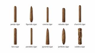 every type of cigar explained