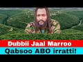 Dubbii Jaal Marroo Qabsoo Bilisummaa Oromoo ABO Ilaalchisee