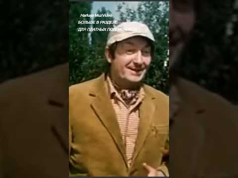 Ему закурить так хочется,прямо выпить не на что #harlushaLyubimoekino #Кино #СоветскоеКино #shorts