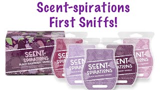 Scentsy’s Scent-spirations Black Raspberry Vanilla | First Sniffs! 💜
