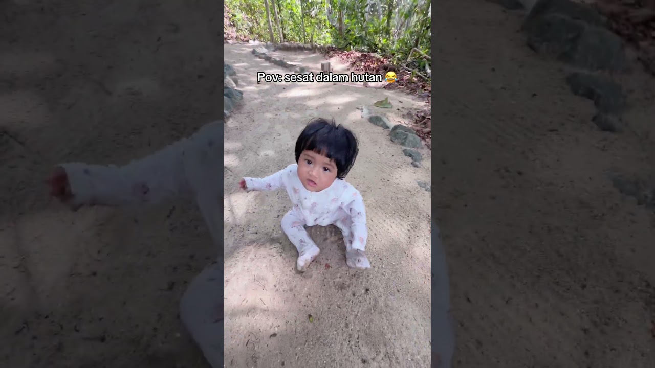 Sesat dalam hutan