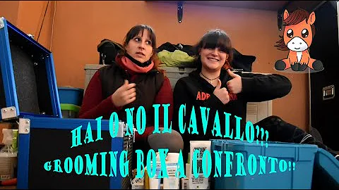 Quanto viene pagato un groom?