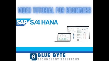 SAP S4 HANA ERP Video Tutorial - 024 - Display a customer master data via Fiori Launchpad
