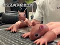 Sleeping is not allowed at work