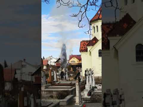 Bradul din mijlocul cimitirului Armenesc din Suceava a ars! #short