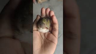 Haath Mila Nahi Seedha Baith I