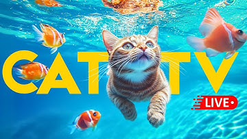 🔴 CAT TV + MUSIC - Boredom, Home Alone, Anxiety Relief 🐠 🐱