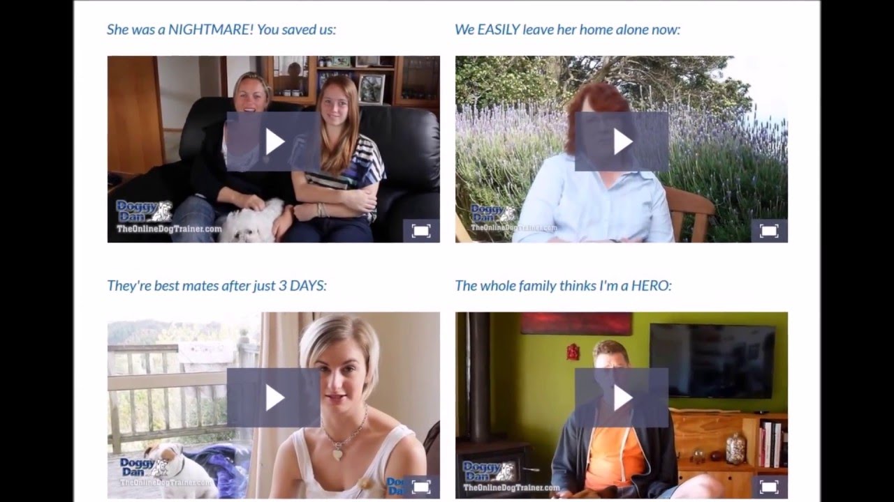 Doggy Dans Online Dog Trainer| How to Raise Perfect Dog by Doggy Dan