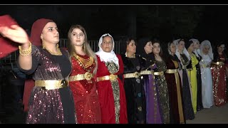 Kurdish New wedding kürt halayı Gazi Yıldırım #akçayoldüğünleri Resimi