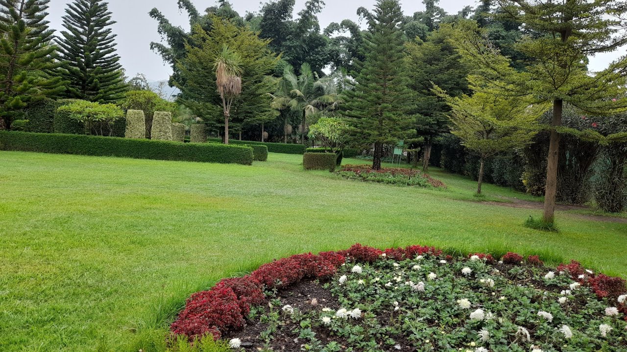 ኮምቦልቻ ውስጥ ሰናይት መናፈሻ በጣም ደስ የሚል ለሰርግ ለልደት ምቹ እና ማራኪ መናፈሻ