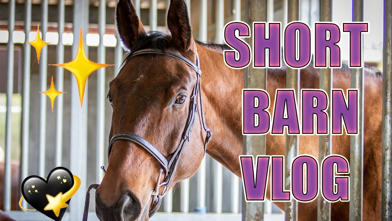 A SHORT BARN VLOG || NANABANANA