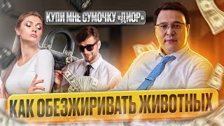 Купи мне сумочку 