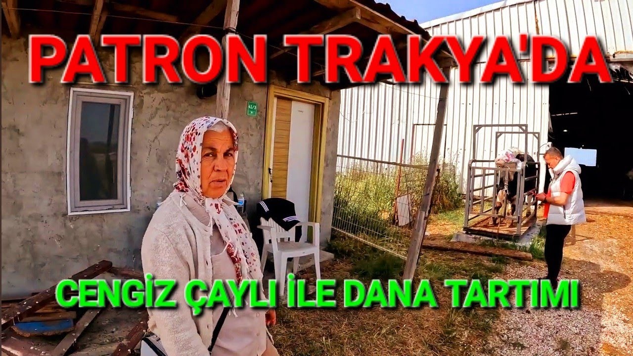 PATRON TRAKYA 'DA & CENGİZ ÇAYLI İLE DANA TARTIMI