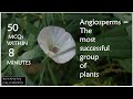 Angiosperms MCQs | Angiosperms- The most successful group of flowering plants | #botany #botanymcqs