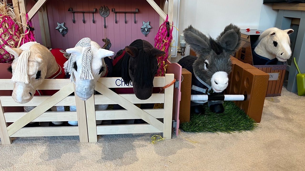 Mini Lemieux toy pony winter morning routine | Jumping session with Popcorn 🍿