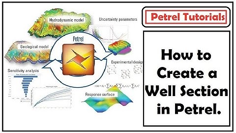 Hoe maak je een putsectie in Petrel